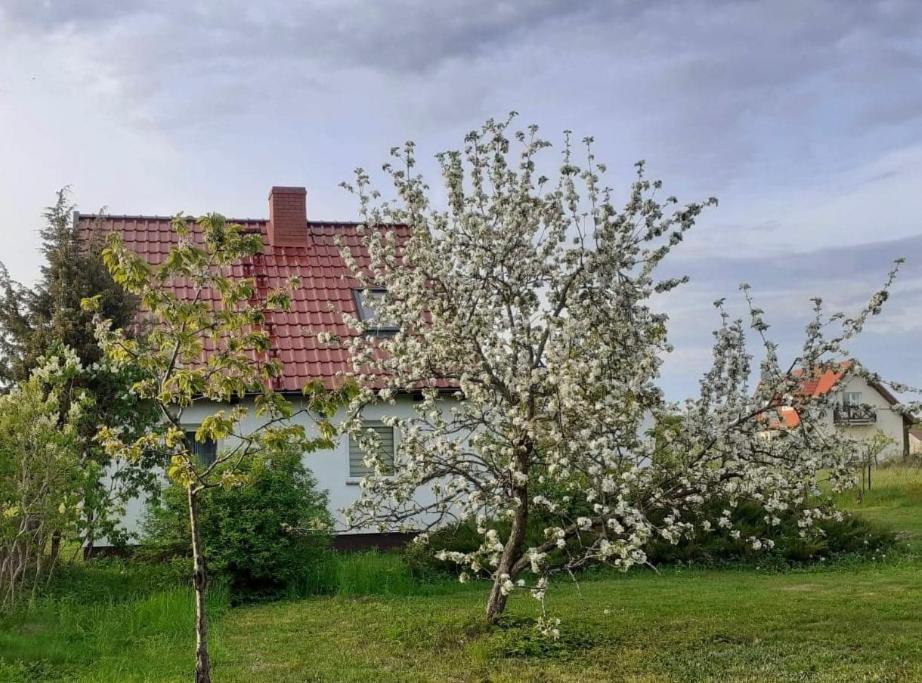 Villa Sleeping Harsz Exterior foto